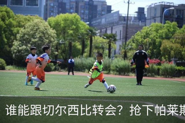 谁能跟切尔西比转会？抢下帕莱斯特拉后，蓝军又将买下2后卫1中场